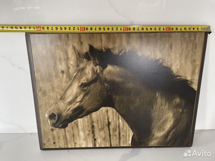 Лошадь картина