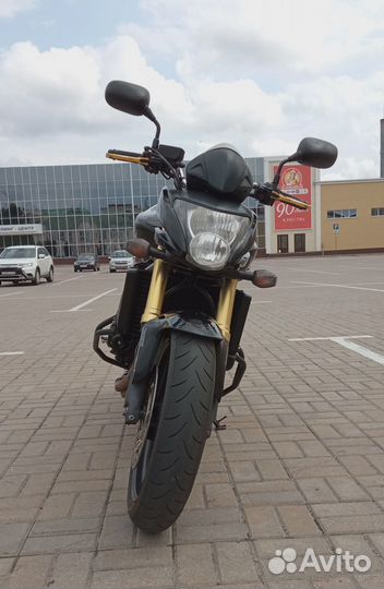 Hornet