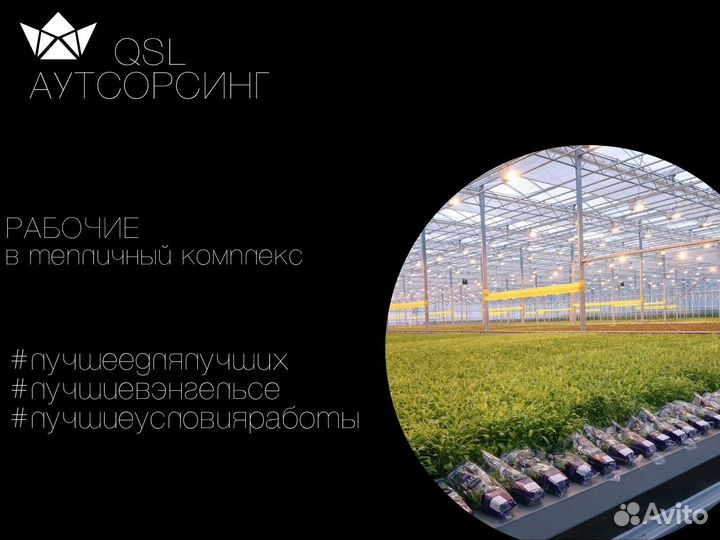 Рабочие В Тепличный Комплекс Подработка З/П Сразу