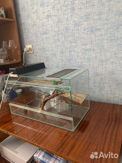 Террариум для рептилий бу