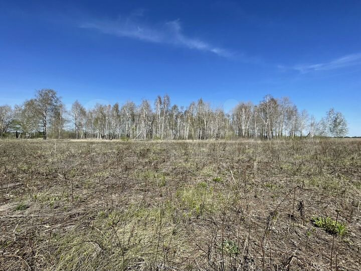 Участок 13,5 сот. (ИЖС)