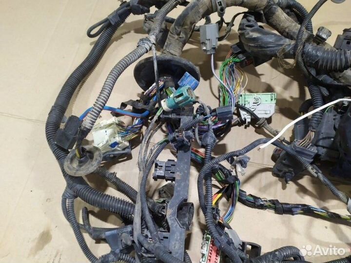 Проводка моторного отсека Ford Focus 3 седан 1.6