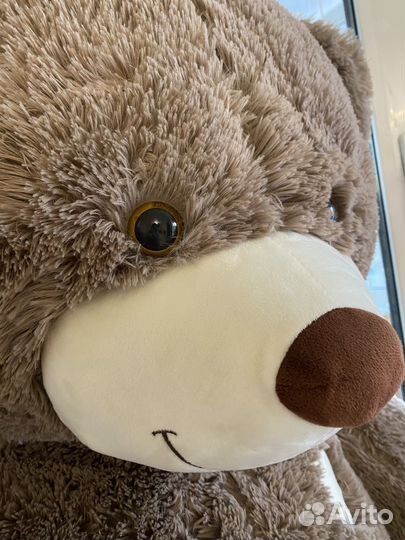 Большой плюшевый медведь