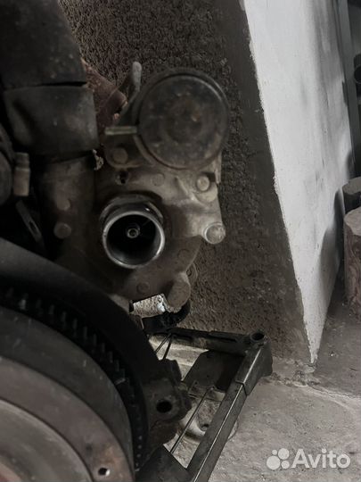 Двигатель Fiat ducato 2.8