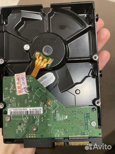 Жесткий диск