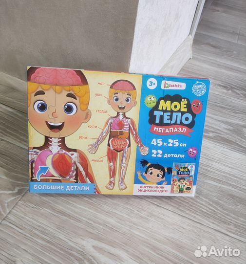 Тело человека пазл