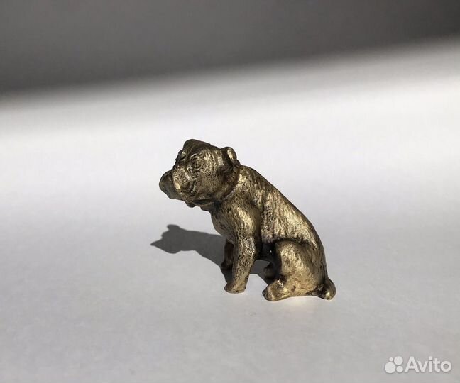 Собака Бронза