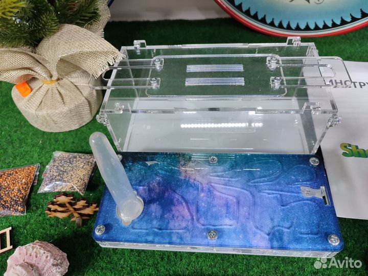 Муравьинная ферма