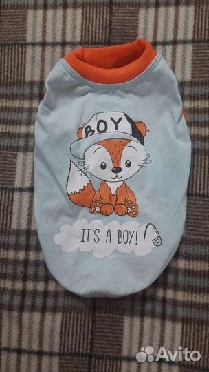 Одежда для собак