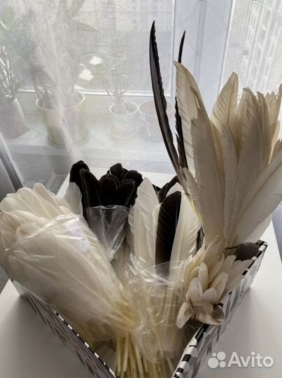 Перья гусиные, утиные (маховые). Перо птицы