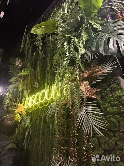 Озелинение помещений