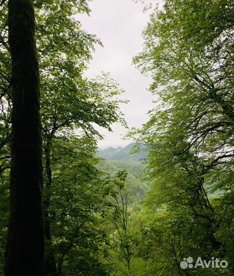 Экскурсия в Солох-Аул