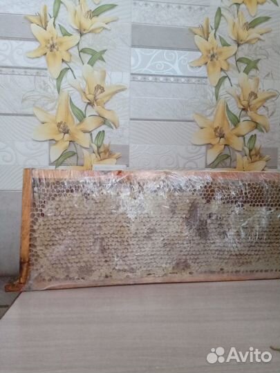 Мед алтайский