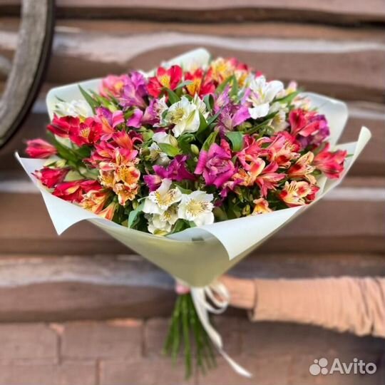 Альстромерия микс 33 шт