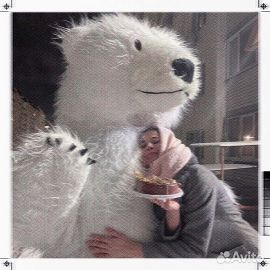 Мишка на праздник