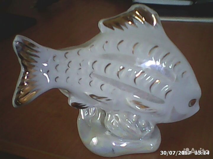 Карп Дулево