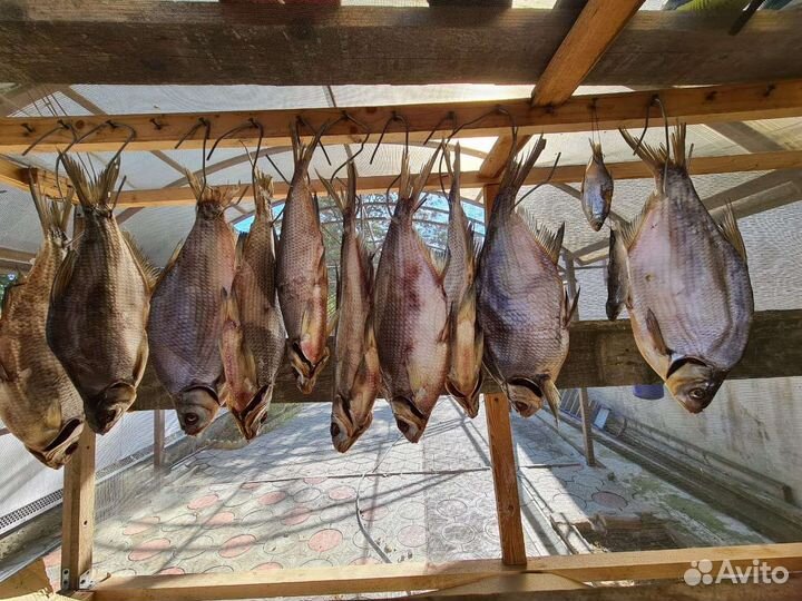 Лещ очень вкусный