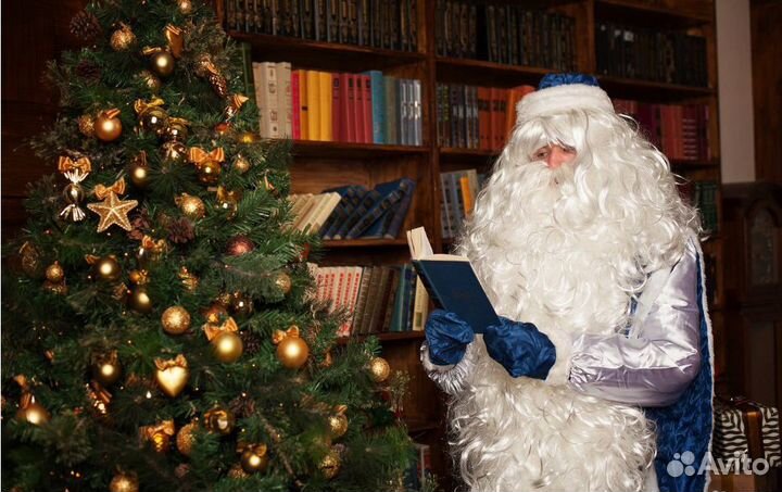 Дед Мороз Южного Урала / Рост 215 см