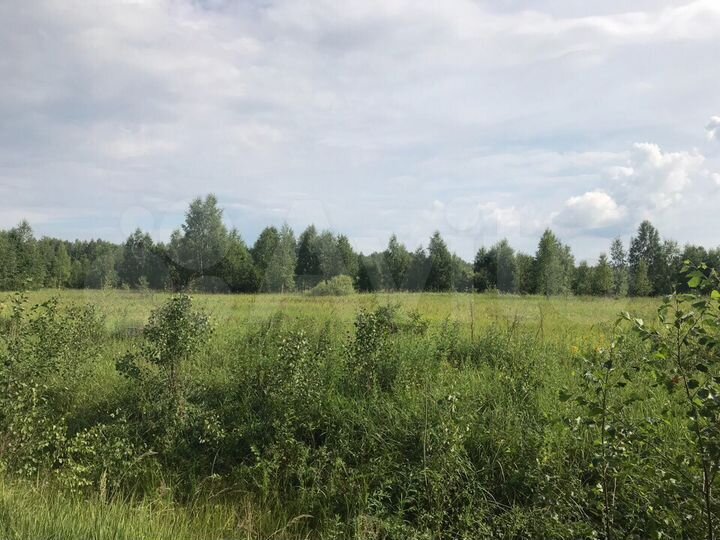 Участок 15 сот. (СНТ, ДНП)