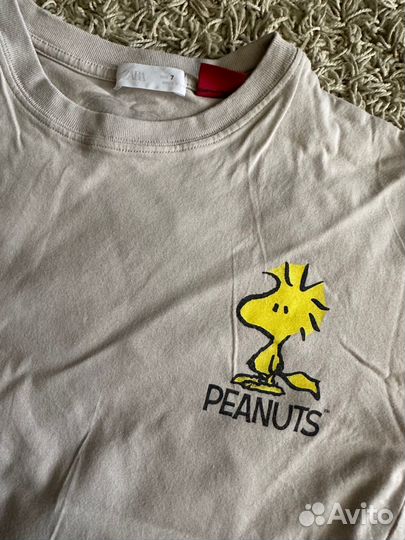 Zara Peanuts