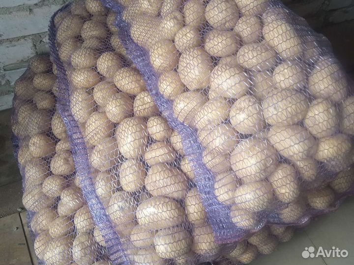 Картофель с бесплатной доставкой
