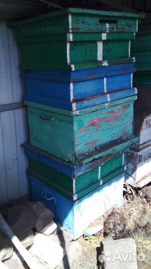 Ульи для пчел
