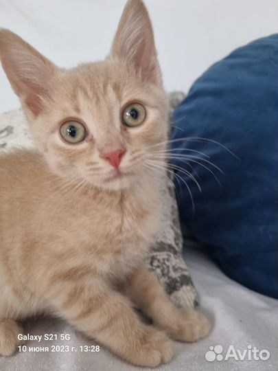 Тёмочка малыш ищет семью