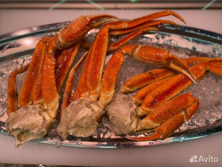 Клешни краба стригуна. Улов 2023