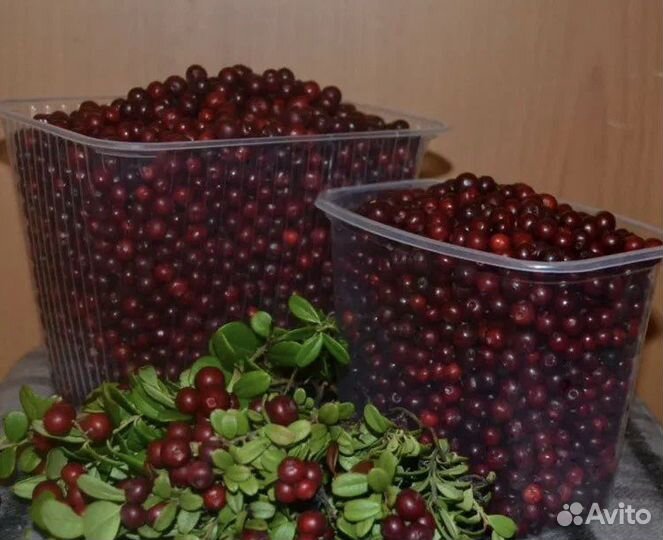 Ягоды и грибы