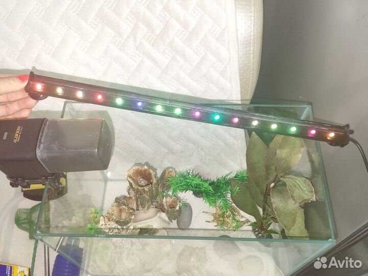 Аквариум и аксессуары