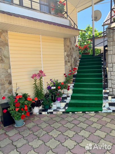 Отдых на Чёрном море, Вардане