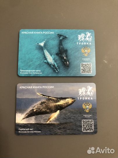 Коллекционна карта