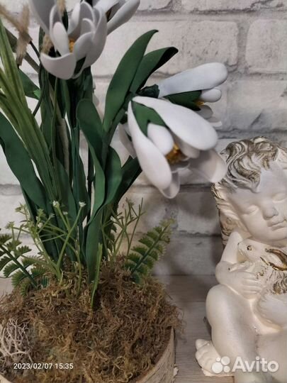 Подснежники