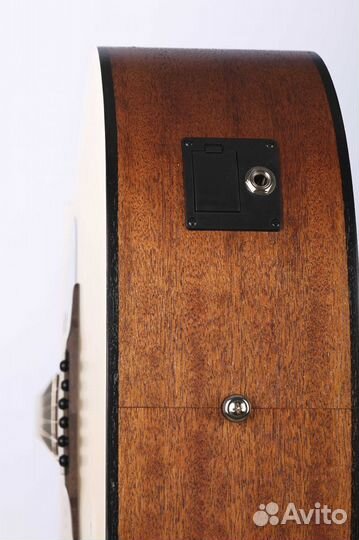 AD810E-OP Standard электро-акустическая. Доставка