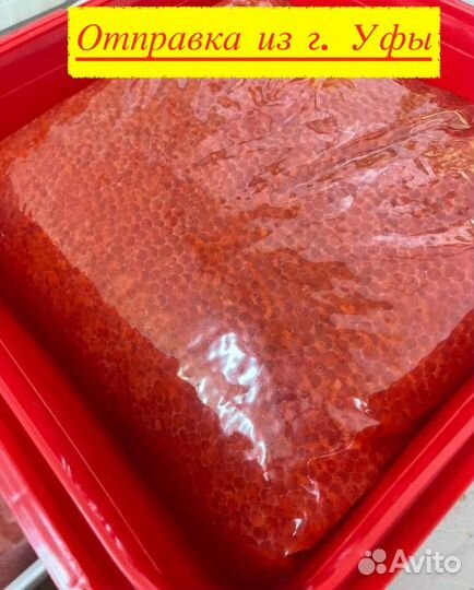 Красная икра оптом
