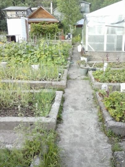 Дача 55 м² на участке 7 сот.