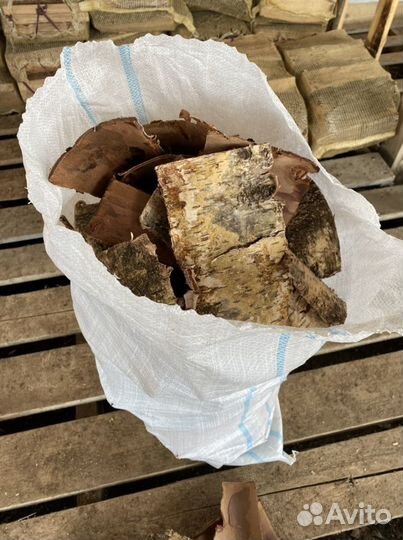 Березовая кора