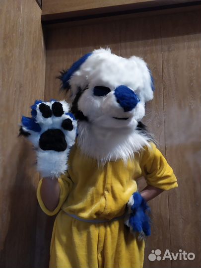 Фурсьют монокит