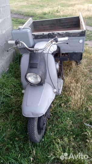 Продам муравей