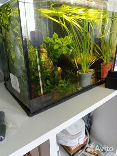 Аквариум прямоугольный с крышкой