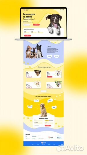 Веб дизайнер