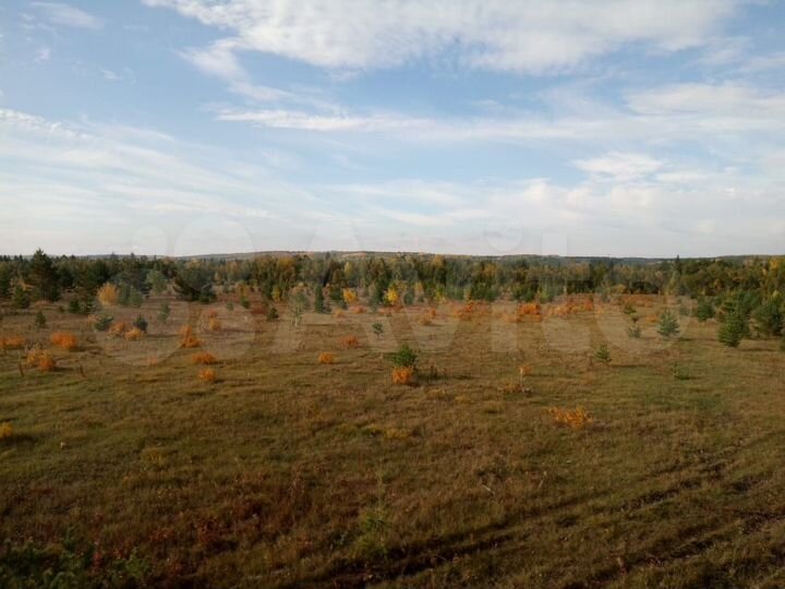 Участок 1,25 га (ИЖС)