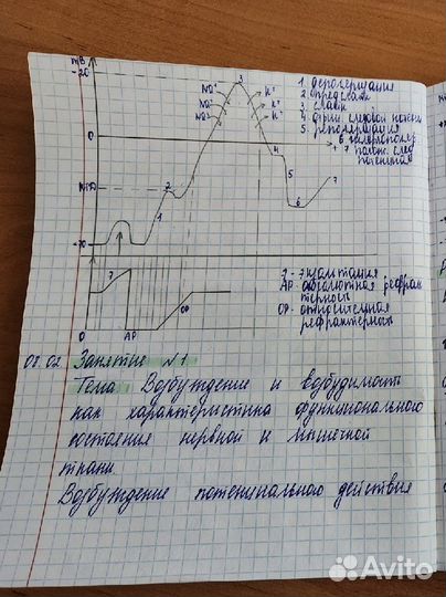 Перепишу лекции