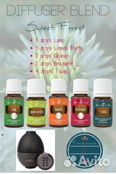 Лимонный мирт - эфирное масло Янг Ливинг