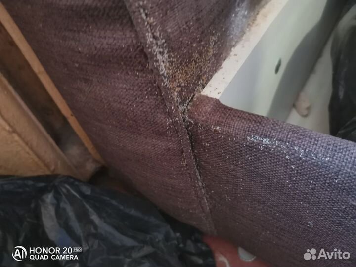 Дезинфекция от любых насекомых