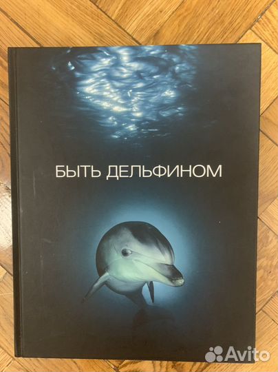 Книга «Быть дельфином»