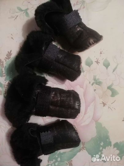 Домик для кошки собачки