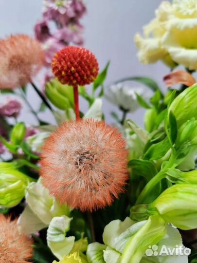 Стильные композиции из Одуванчиков