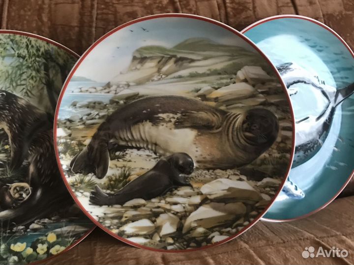 Животные Всемирный фонд дикой природы тарелка