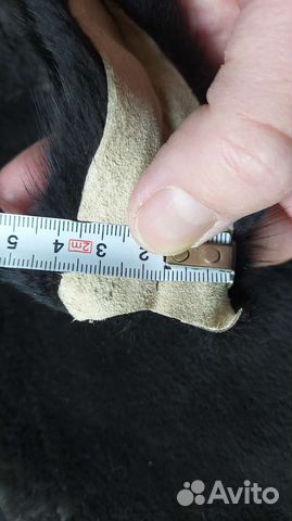 Хвосты норки крупные